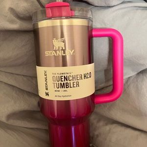 Pink Ombré Stanley cup